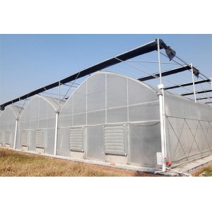 Low Cost Greenhouse Plastic Film Greenhouse for Vegetable