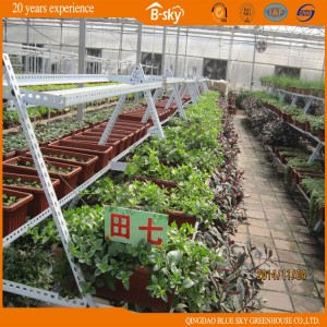 Multipurpose Venlo Type Green House Glass Green House