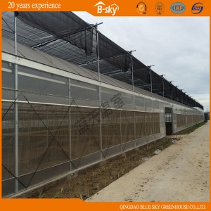China Supplier Film Greenhouse with High Transmittance