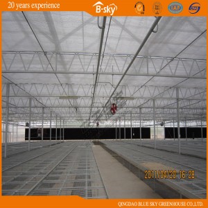 Polycarbonate Sheet Greenhouse for Planting Vegetables