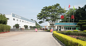 Multi-Span Agricultural Flower Greenhouse