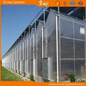 High Light Transmittance PC Board Multi-Span Greenhouse