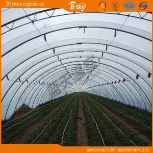 Tunnel Greenhouse with Galvanized Steel Frame China Supplier
