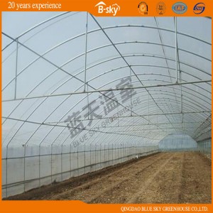 Extensive Use Tunnel Green House for Vegetable Planting