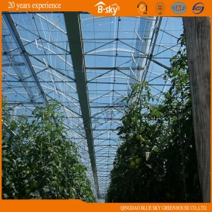 High Light Transmittance F-Clean Film Greenhouse