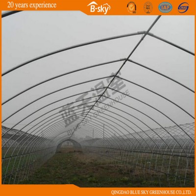 Simple Structure Greenhouse with High Cost Performance