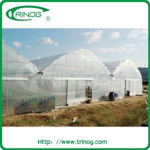 Agricultural Economical greenhouse with film cover