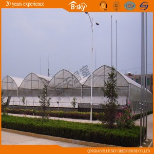 Covering Material Free Conbination Multi-Span Greenhouse