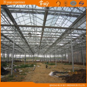 Multipurpose Durable Venlo Glass Green House