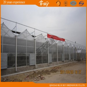 Polycarbonate Board Greenhouse with High Quality