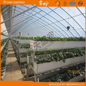 High Cost Performance Vegetable Planting Helio-Greenhouse