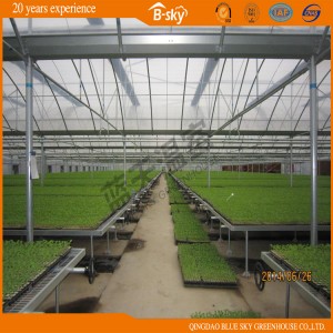 Low Cost Multi-Span Film Greenhouse with Sprinkling Irrigation