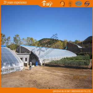 Solar-Greenhouse with Plastic Film Covered