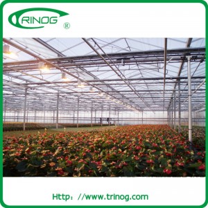 Multi-span film agricultural flower greenhouse