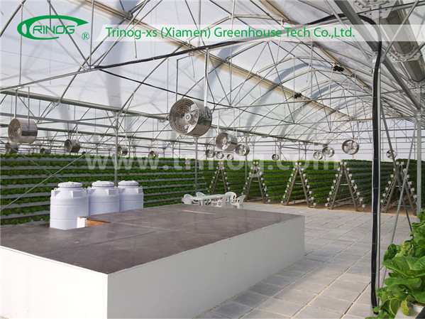 Media base Hydroponic system for Strawberry cultivation