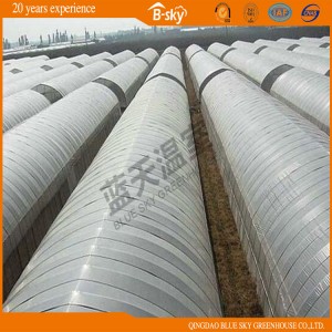 Hot Sale Tunnel Greenhouse with Galvanized Steel Frame