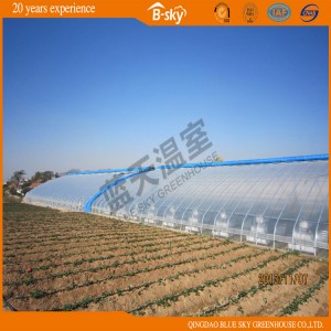 Durable Solar-Greenhouse with Plastic Film Covered