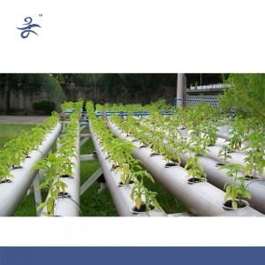 Hydroponics for Agricultural ,Greenhouse