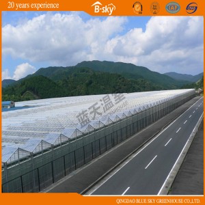 Top Covered F-Clean Film Facade Covered Glass Multi-Span Greenhouse
