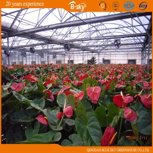 Garden House Film Greenhouse Planting Flower