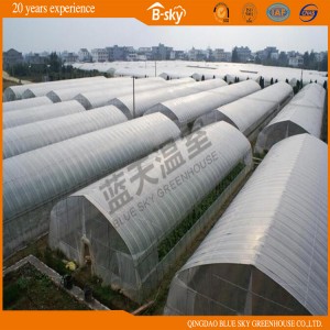 Hoop Green House with Hot Galvanized Frame