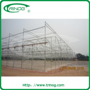Popular European Style Multi-Span Film Greenhouse