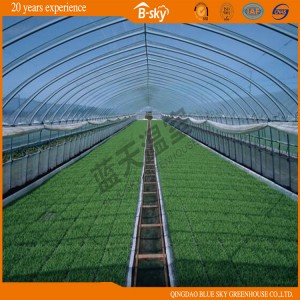 High Yield Hoop Green House with Hot Galvanized Frame