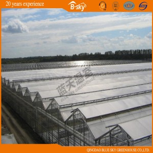 Strong Self-Clean Ability F-Clean Film Greenhouse