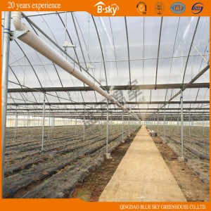 Plastic Film Greenhouse with Mluti-Span Structure with Traditional Planting