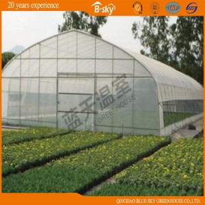 Tunnel Green House for Vegetable Planting