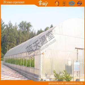 High Output Hoop Greenhouse for Vegetable Planting