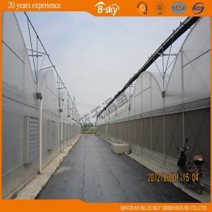 Low Cost Film Greenhouse for Vegetable Planting