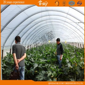 High Quality Hoop Greenhouse with Galvanized Steel Frame
