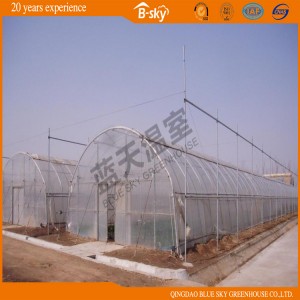 China Supplier Film Greenhouse for Planting