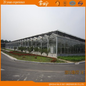 China Supplier Beautiful Glass Greenhouse Venlo Type
