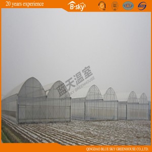 Plastic Film Greenhouse with Low Cost