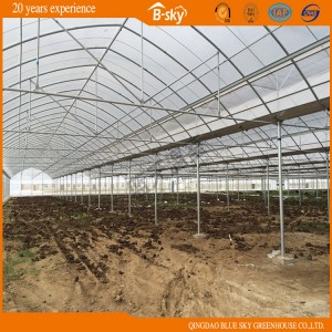 Multi-Span Plastic Film Greenhouse High Light Transmittance