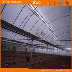 Low Labor Cost Auto Control Film Greenhouse