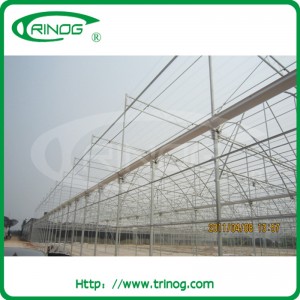 Multi Span Plastic Greenhouse in film cover