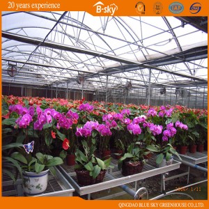Top Film Covering Facade Polycarbonate Panel Greenhouse