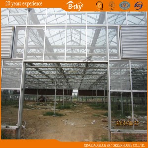 Beautiful and Practical Venlo Type Glass Greenhouse