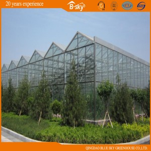 30 Years Life-Span Beautiful Glass Greenhouse Venlo Type