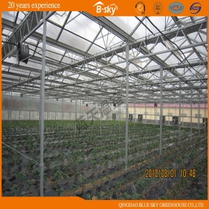 Good Heat Insulation Performance PC Board Multi-Span Greenhouse