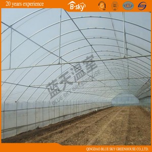 Low Cost Hoop Greenhouse for Vegetable Planting