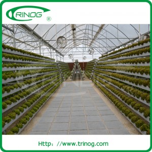 a Shape Vertical Hydroponics System