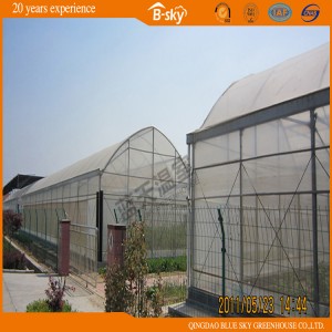 China Supplier Low Cost Film Greenhouse