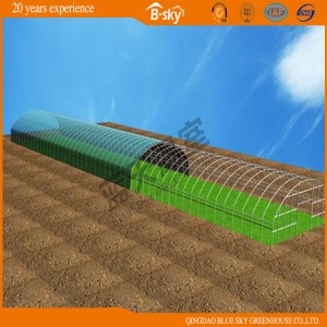 Low Cost Arch Greenhouse for Vegetable Planting