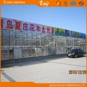 Beautiful Glass Greenhouse Venlo Type Chinal Supplier