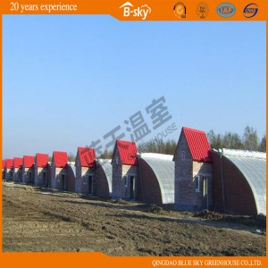 Hot Sale Plastic Film Solar Greenhouse for Vegetable Planting