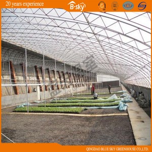 Widely Used Solar Green House for Winter Use